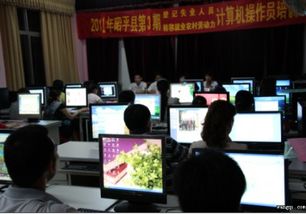 賀州市昭平縣舉辦青年計算機技術培訓班，為鄉村振興注入數字動能
